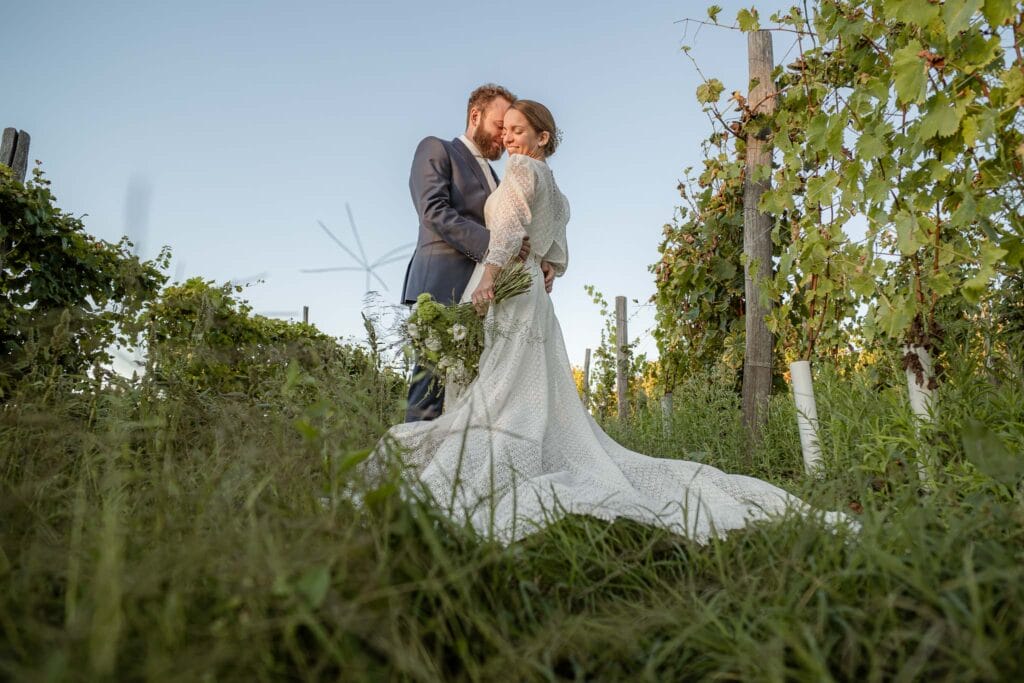 Image gallery image